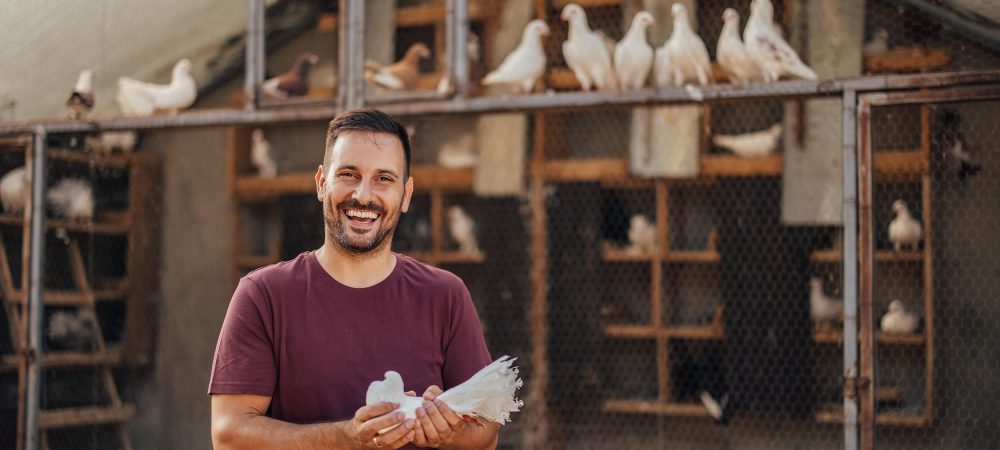 adult-man-taking-care-for-the-flock-of-pigeons-2024-10-17-16-55-15-utc(1)